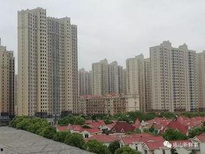 武汉江夏最新爆料,揭秘武汉江夏区最新动态与热点事件  第3张